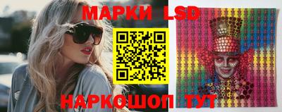 стафф Донецк