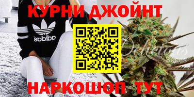 бошки Донской