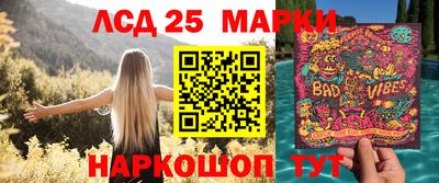 стафф Донецк
