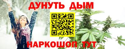 стафф Донецк
