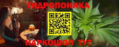 стафф Донецк