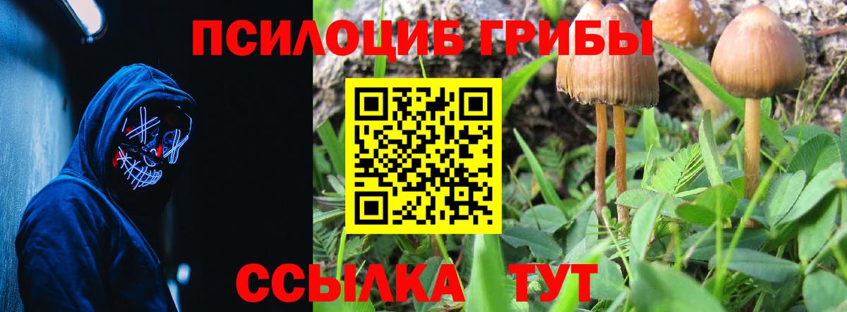 Галлюциногенные грибы ЛСД Елабуга